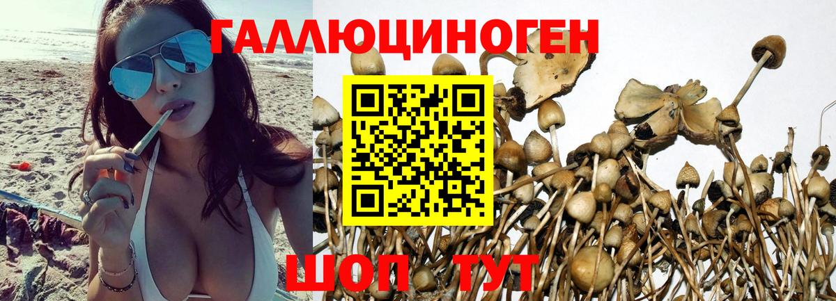 Псилоцибиновые грибы MAGIC MUSHROOMS  Вход с VPN  Псилоцибиновые грибы мухоморы  закладки  Вятские Поляны 